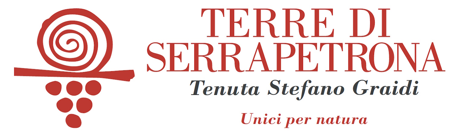 TERRE DI SERRAPETRONA - Tenuta Stefano Graidi