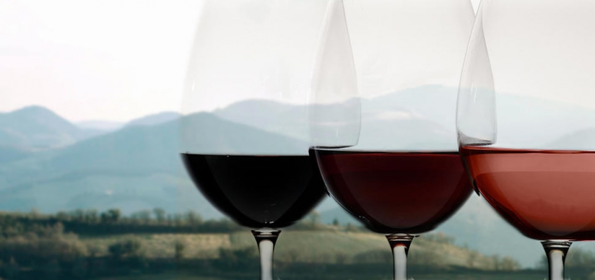 enoturismo-terre-di-serrapetrona