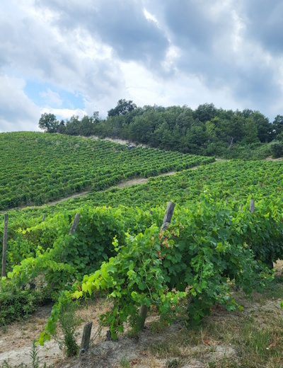 tenuta-stenao-graidi-fullimmersion