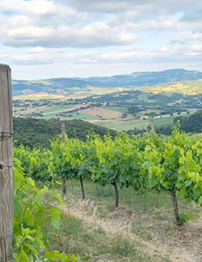 terre-serrapetrona-discovery