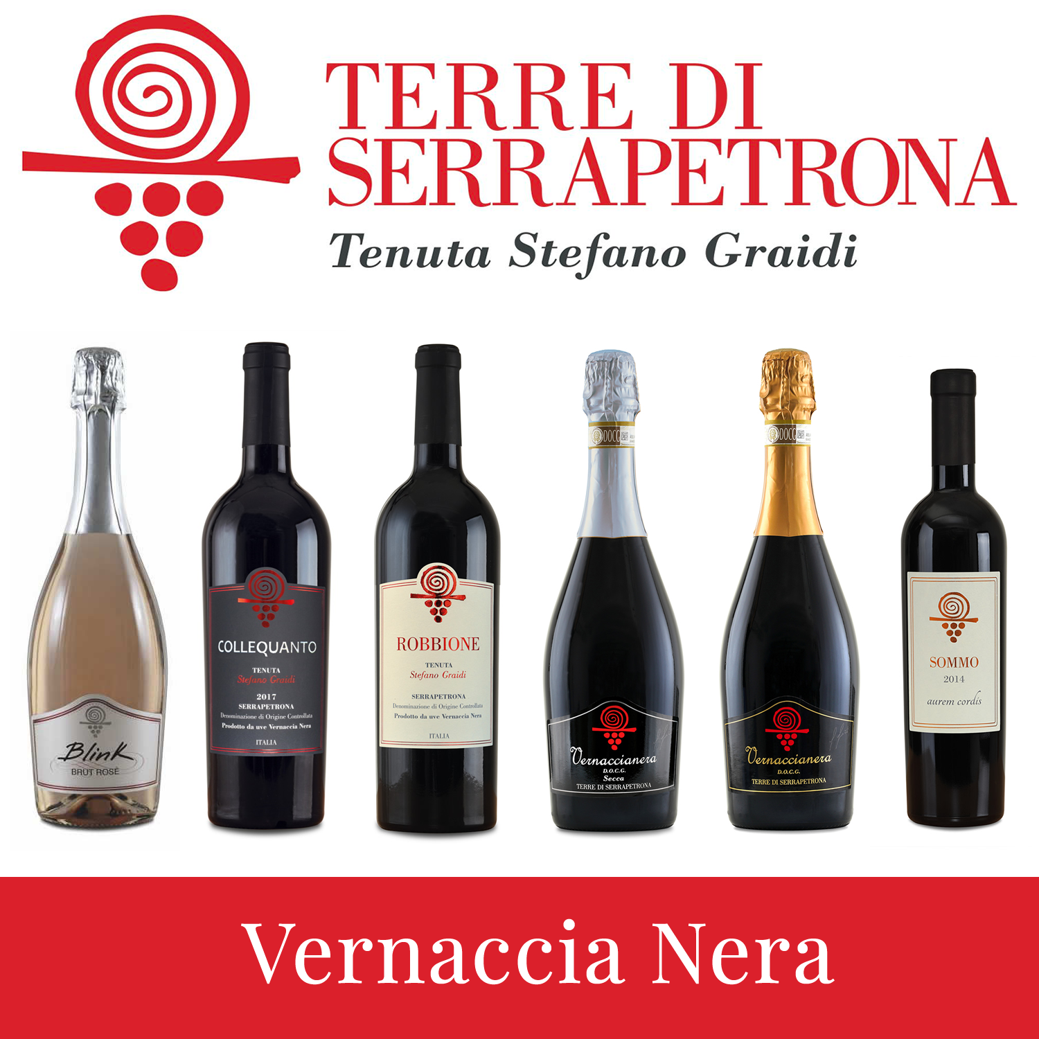 Vernaccia Nera