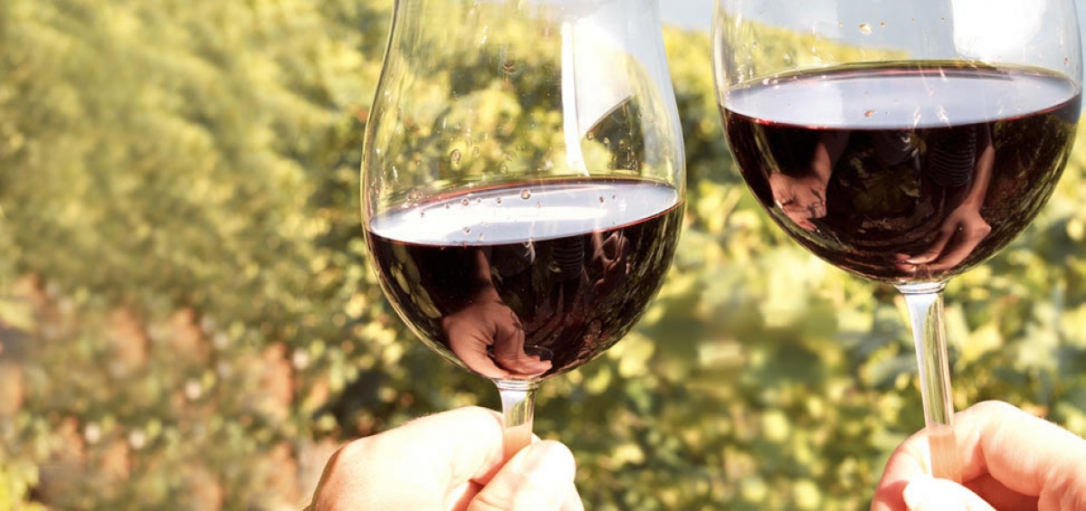 terrediserrapetrona-contattaci