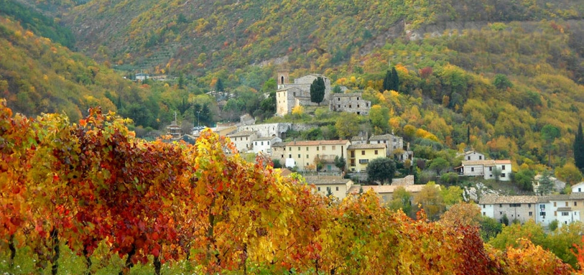 territorio-serrapetrona